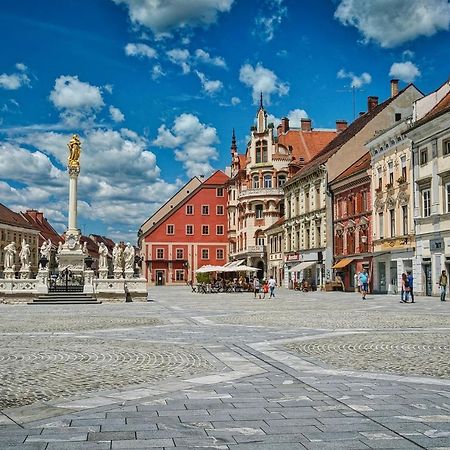 Apartment Styria Lent Maribor Exterior foto